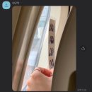 성읍초등학교 | 2023 기록하기 #08