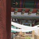 윌리아willrea