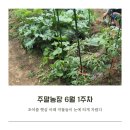 매정농장 네이버블로그