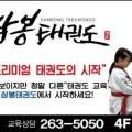 삼봉태권도 이미지