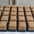 대창공업사 이미지