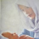 선생님을 배었던 모태는 행복합니다. 하느님의 말씀을 듣는 이들이 오히려 행복하다.(2026년 10월 10일 토요일) 이미지