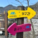 고원개발