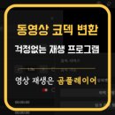 곰비디오 이미지