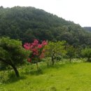 가곡농장 이미지