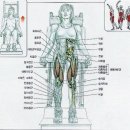 KY 휘트니스 이미지