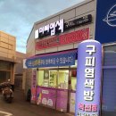 구피염색방