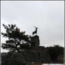 관음사(야영장) 이미지