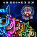 퍼피스타일 이미지