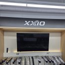 화이트 브랜드샵 | 부여 골프샵 여성 아이언 추천 젝시오 14 화이트 에디션 구매 후기