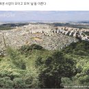 부동산캐스트공인중개사사무소 이미지