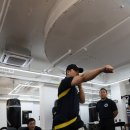 안중 체육관 | [공지] <2026년 BPA 복싱 무브먼트 교육 수강에 대한 1주차 레포트>