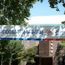 제39회 장애인체전 4강 | [럭비] 제 100회 전국체육대회 럭비 고등부 4강전 : 충북대표(충북고)vs 대구대표(상원고)