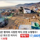 LBA강화공인중개사사무소 이미지