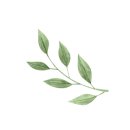 생각숲예술유치원 이미지