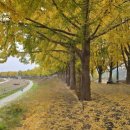 강변에서 이미지