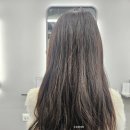 프로카클리닉 | 선릉역 미용실 빛나게헤어 선릉역점 카나토 클리닉 프로 후기