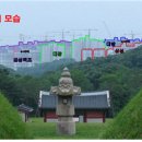 김포 장릉 이미지