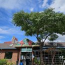 수궁한정식 이미지