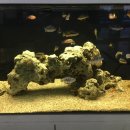 남해고속도로 진영휴게소~ 이미지