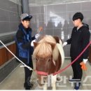 유진로축산