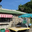 밤나무 민박 | [제주/제주동쪽숙소] 제주 취하도 민박, 촌캉스 제대로 즐긴 숙소 후기