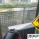 (주)바이오네트 이미지