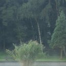 Memory of  이미지