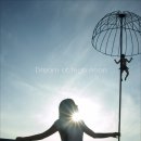 한낮의 꿈 이미지