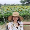 풍림농원 이미지