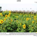 바다공원(소) Daum카페