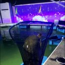 가자실내낚시터 이미지