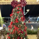 온더비치 | D2_3. 무이네 맛집 마사지 추천 썬셋온더비치 메뉴 후기 더코코넛마사지 할인쿠폰 가격