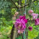 광기농장 이미지