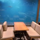 감포항 | 경주 감포항 투썸플레이스 후기^^ 바다+수족관+감성카페 3콤보 완벽정리!