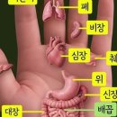 생활 속의 손건강 요법 이미지