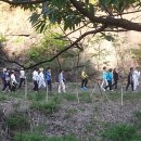 예산고등학교 이미지