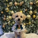 온블리살롱 이미지