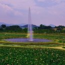 연꽃테마파크 방문자 센터 이미지