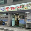 메밀꽃돼지
