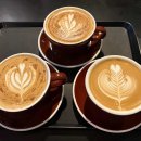 테라 PC 카페 이미지