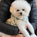 은영상회 | 2024년 11월 결산 / 베트남 여행과 은영공주 생일