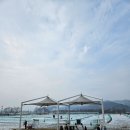 개군칼국수 이미지