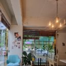 Allee(엘리) | <카페후기> 옛날 팥빙수와 고양이가 있는 [카페 엘리]