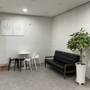 건강안마원 | 일산 마사지 후기) 체형·피로 모두 잡는 건강드림안마원 솔직 후기