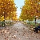 구리한강시민공원 이미지