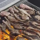 석산계곡코코비발디글램핑카라반오토캠핑장 이미지