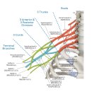 바른몸힘한의원 이미지