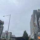 보영파크 | ⚾️[서울갈매기] kt 위즈파크 원정 후기 (415구역 시야/보영만두/진미통닭)