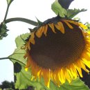 대산농장2 이미지